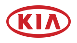 Kia Navigation Reparatur Display Touchscreen